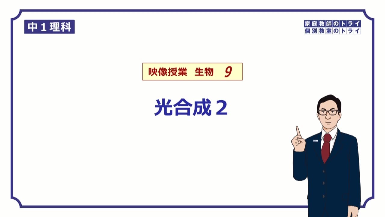 【中１　理科　生物】　光合成の実験方法　（１９分）