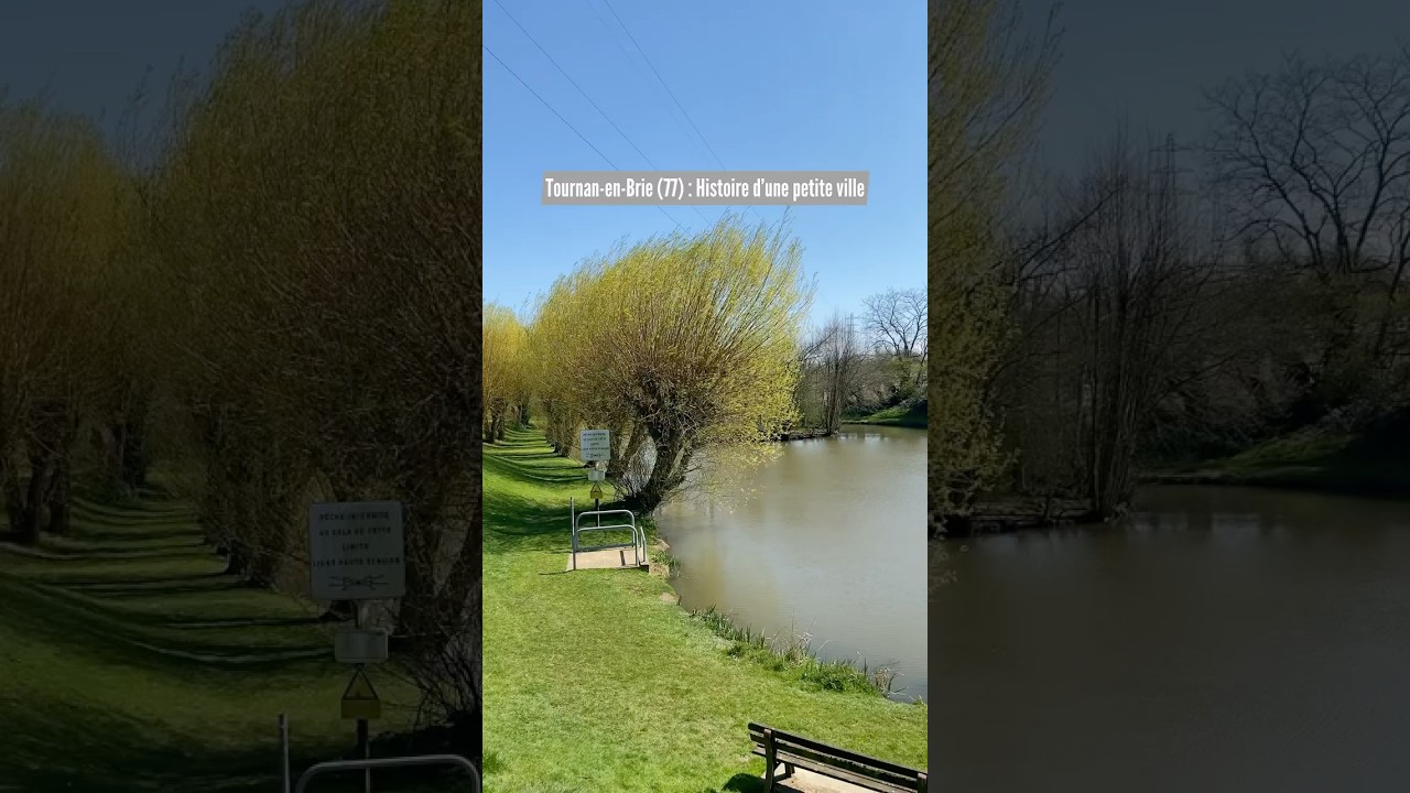 Tournan-en-Brie (77) : Histoire d&rsquo;une petite ville #tournanenbrie #visiteguid&eacute;e #voyageeniledefrance
