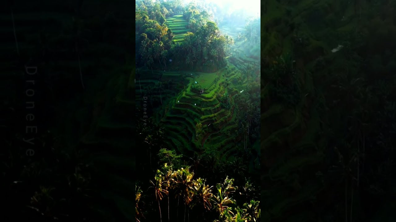 4k drone view | hd drone footage | eagle eye view |#shorts #drones #dronevideo