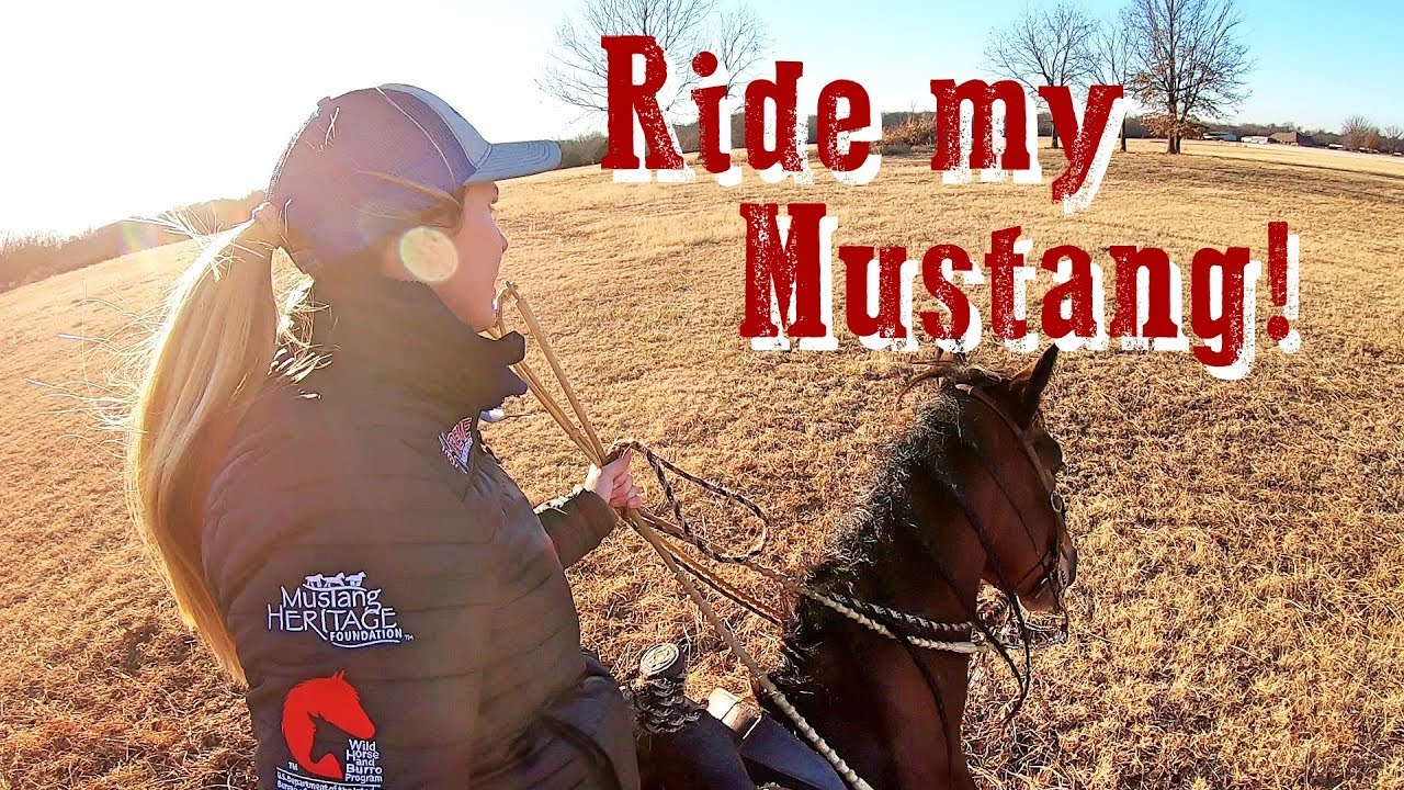 Galloping through the field..Ride along on my Mustang!