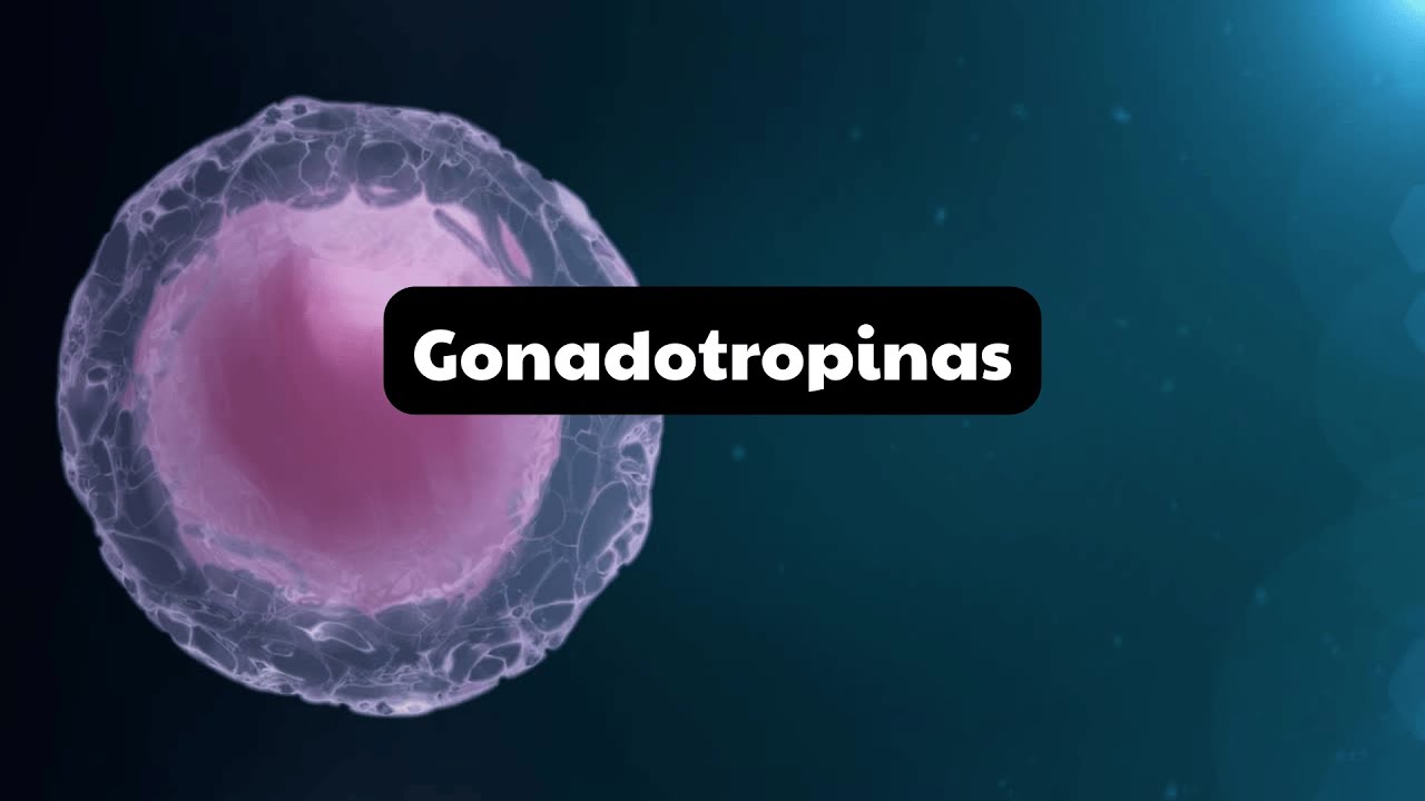 FISIOLOGÍA de GONADOTROPINAS