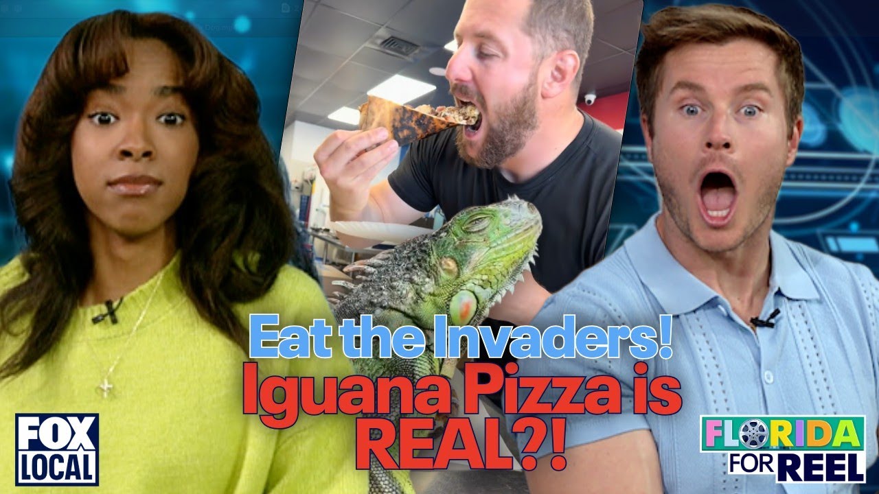 Are Floridians really eating iguanas? | Florida For Reel