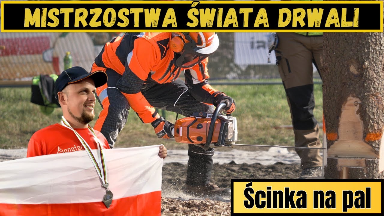 DRWAL NA MEDAL - KAMIL SZARMACH || Występy Polskiej Kadry - Ścinka na pal || WLC 2024 Wiedeń (odc.1)