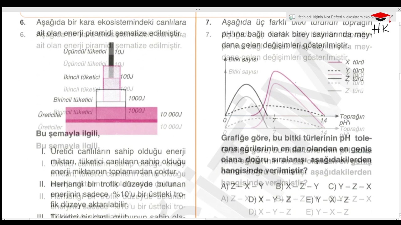 Ekosistem Ekolojisi Soru Çözümü