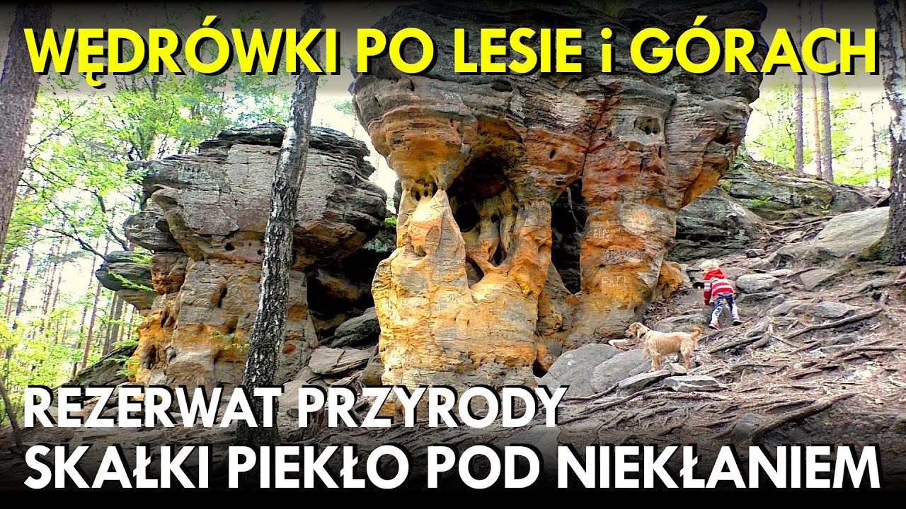 004 - Rezerwat przyrody Skałki Piekło pod Niekłaniem na Piekielnym Szlaku