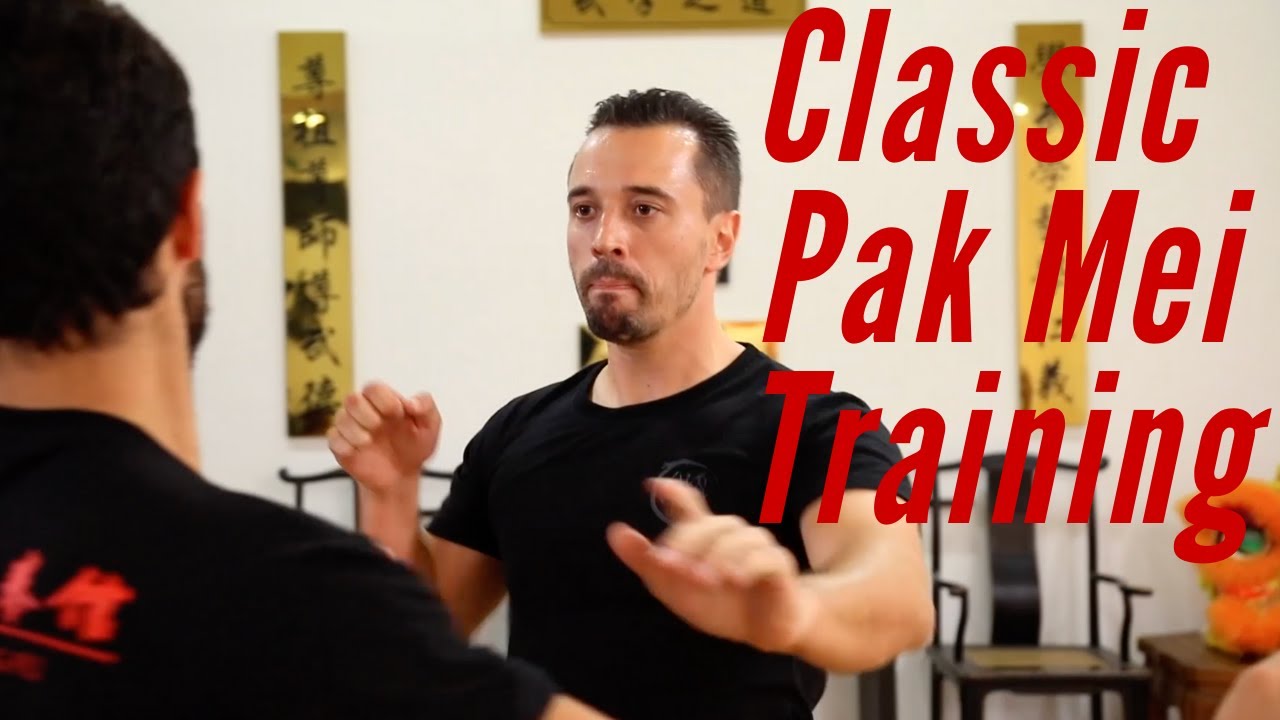 Classic Pak Mei Kung Fu Training Paris