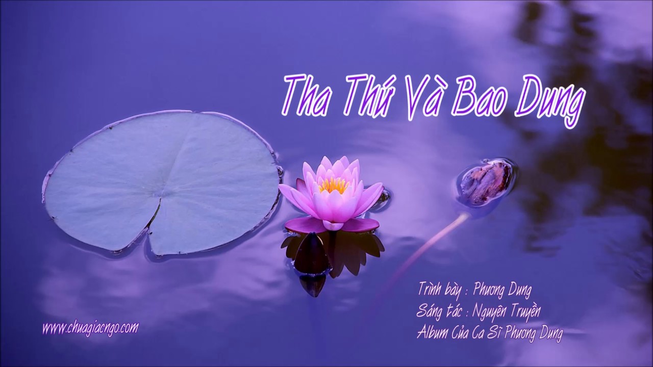 Tha Thứ Và Bao Dung - Phương Dung