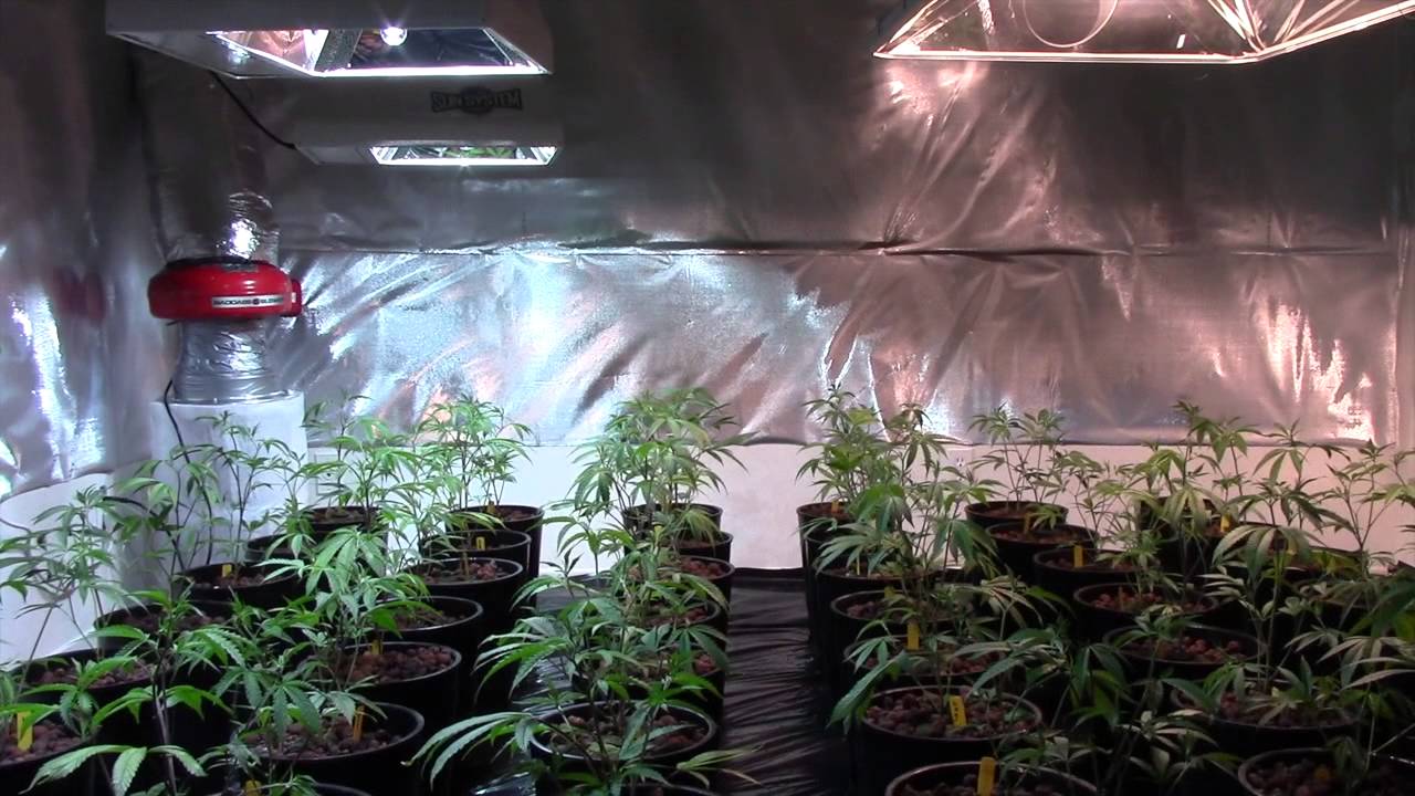 LEC -vs- HPS ep 1 side by side 3- 315w LEC vs 1- 1000w HPS on mover with TGA 9lb Hammer