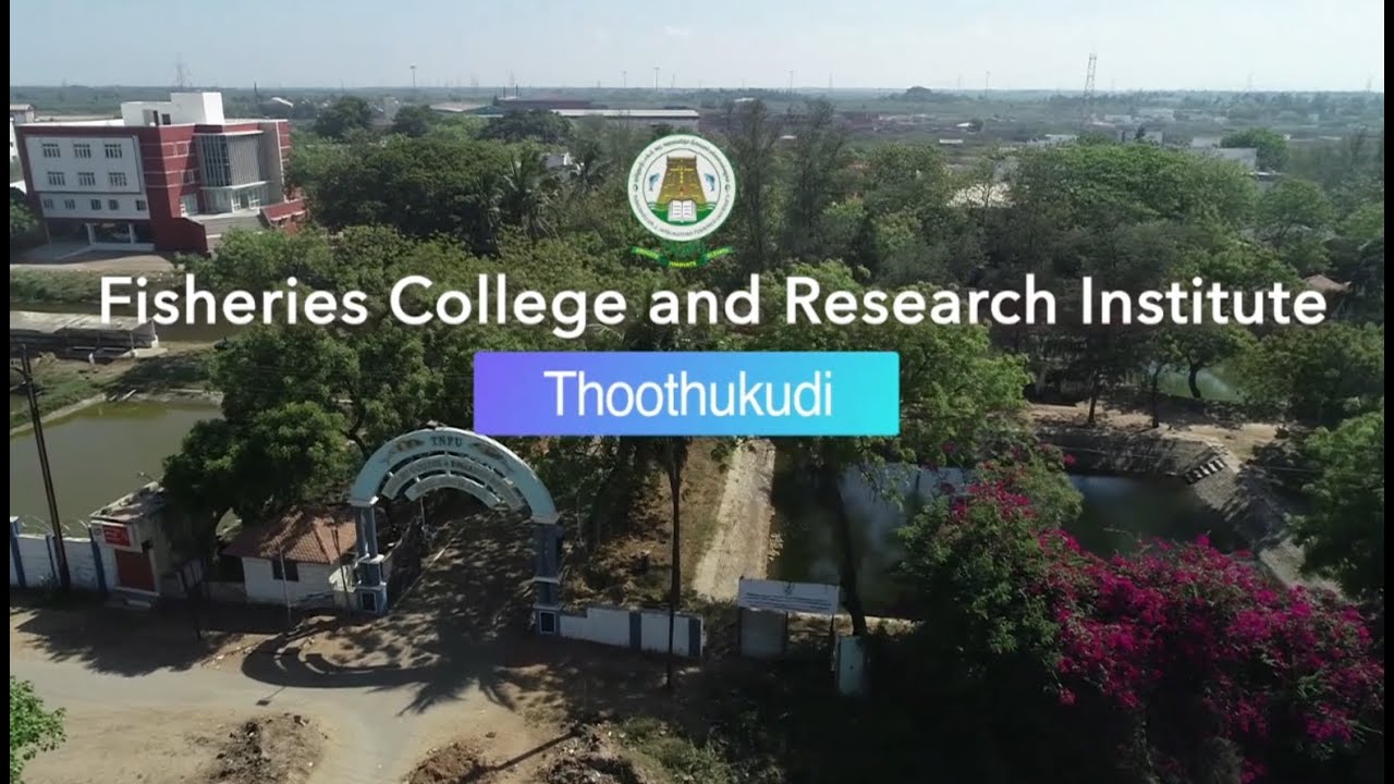 TNJFU Fisheries College and Research Institute, Thoothukudi