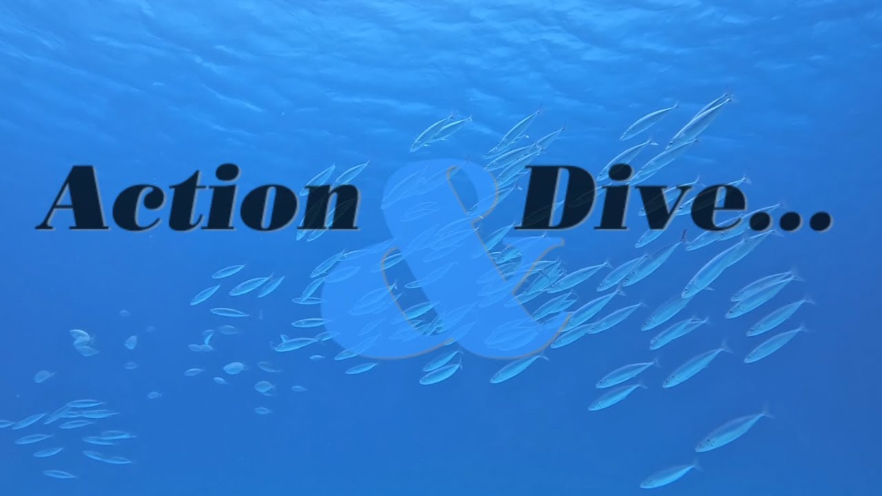 Divemaster Skill Training