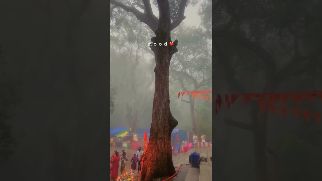 Japali Hanuman Mandir🚩