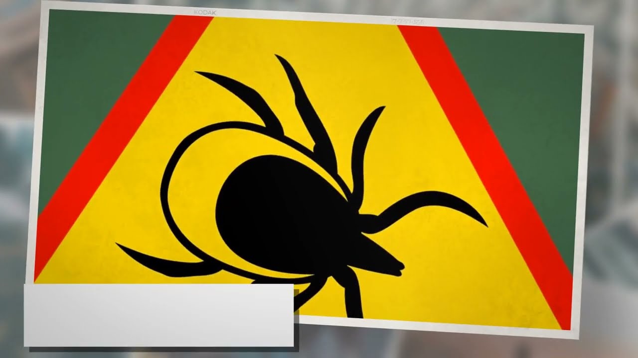 Tick Safety:  Prevention, Detection, and Removal Tips