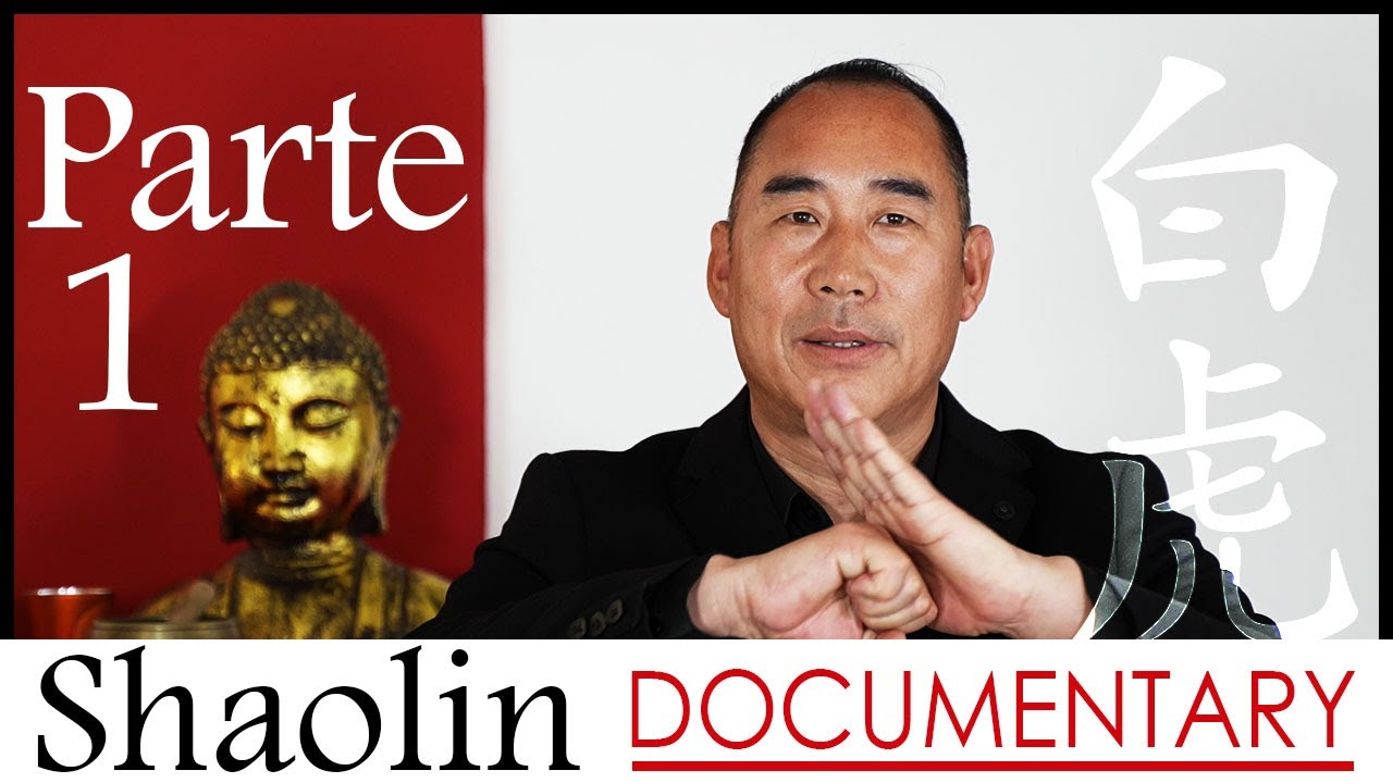 Shaolin documentary - Parte 1 - Wang Weiqiang