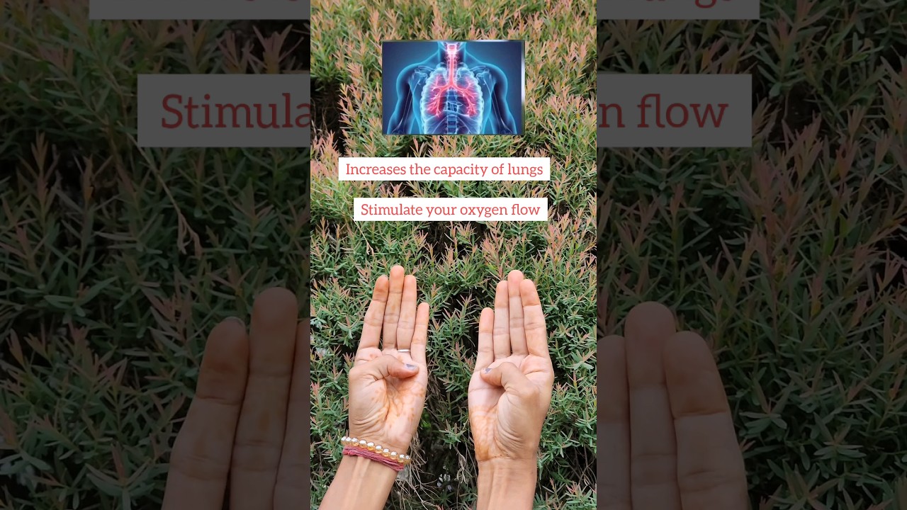 yogic exercise for healthy life ✨️ 