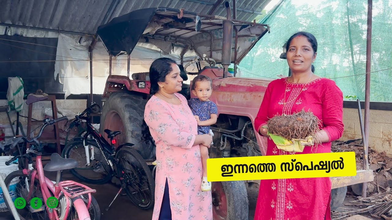 ഇന്നത്തെ സ്പെഷ്യൽ |Jelaja Ratheesh| Puthettu Family Vlog|