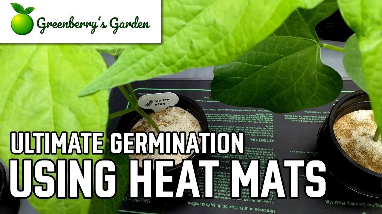 Ultimate Germination: Using a Heat Mat