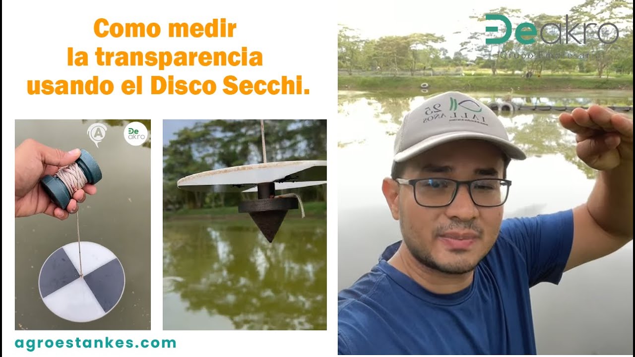 Como medir la transparencia usando el Disco Secchi