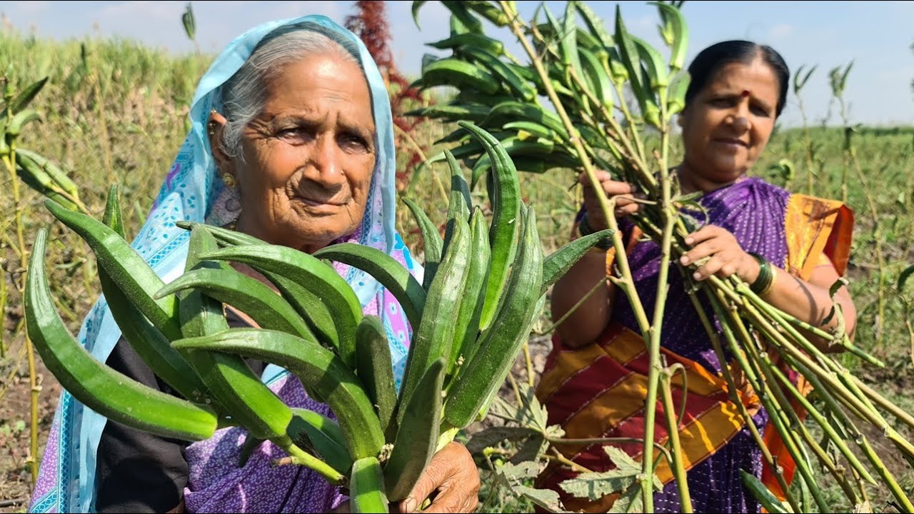 कुडकुडणाऱ्या थंडीतील उबदार गावरान जेवण तिळाची भाकरी भेंडीच्या बियांचा रस्सा  भोपळ्याच्या पानाची भाजी