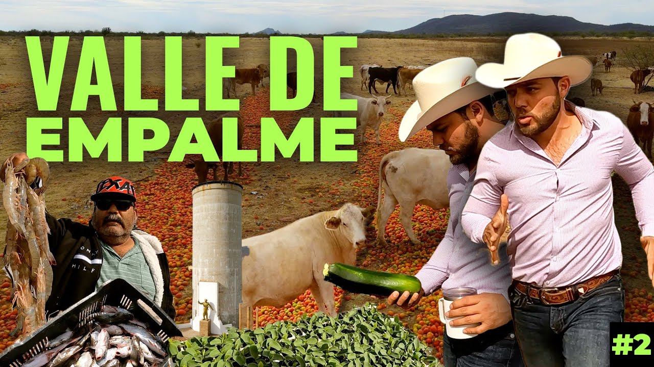 El VALLE que ALIMENTA a miles de Sonorenses y Mexicanos | Valle de Empalme, Sonora (Parte 2/2)