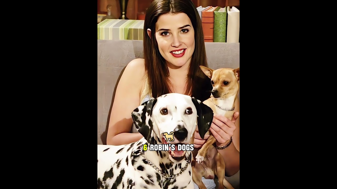 What Really Happened Behind the Scenes of How I Met Your Mother