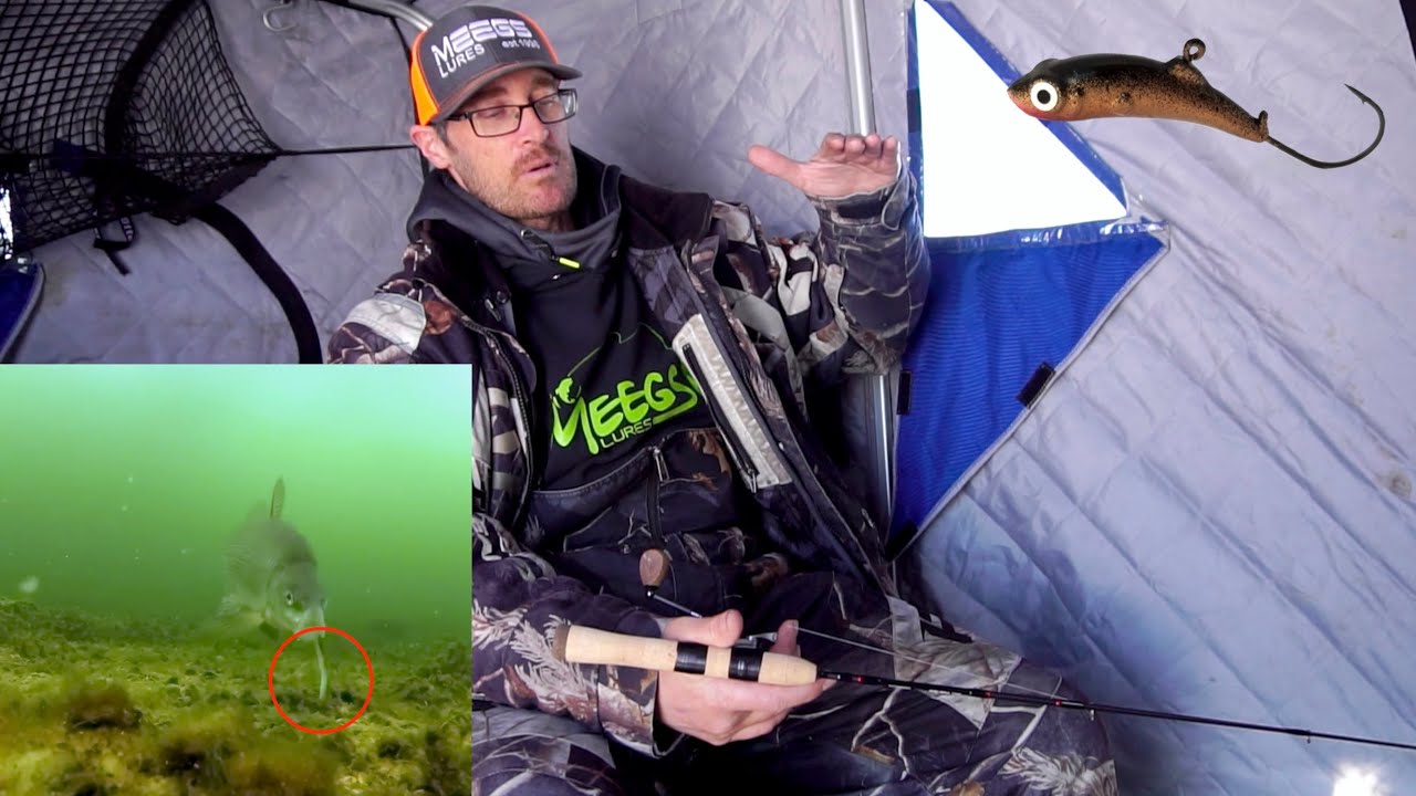 How to fish the Meegs - Indepth by James Meger! (Underwater Footage)