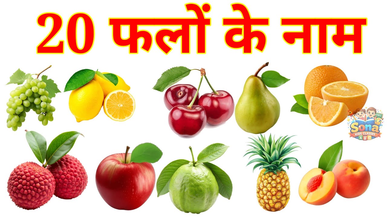 20 फलों के नाम |20 Fruit Name in English and Hindi  | Kids Learning Fruit Vocabulary Video 