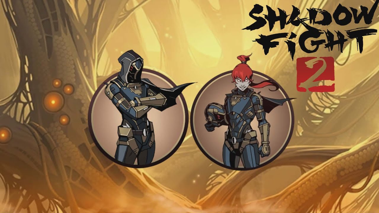 Shadow Fight 2 : Shadow VS May