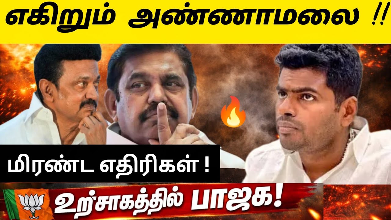 எகிறும் அண்ணாமலை செல்வாக்கு 🔥 கலங்கிய எதிரிகள் | உற்சாகத்தில் பாஜக… தமிழக அரசியலில் பரபரப்பு !