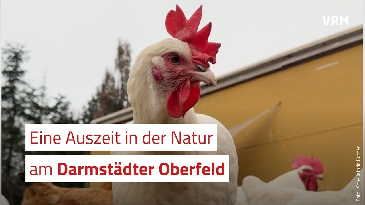 Eine Auszeit in der Natur am Darmst&auml;dter Oberfeld