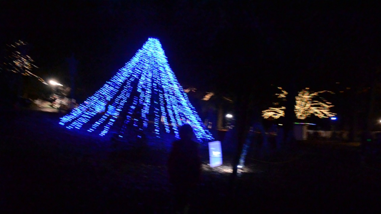 120716 Zoo lights with treea and music