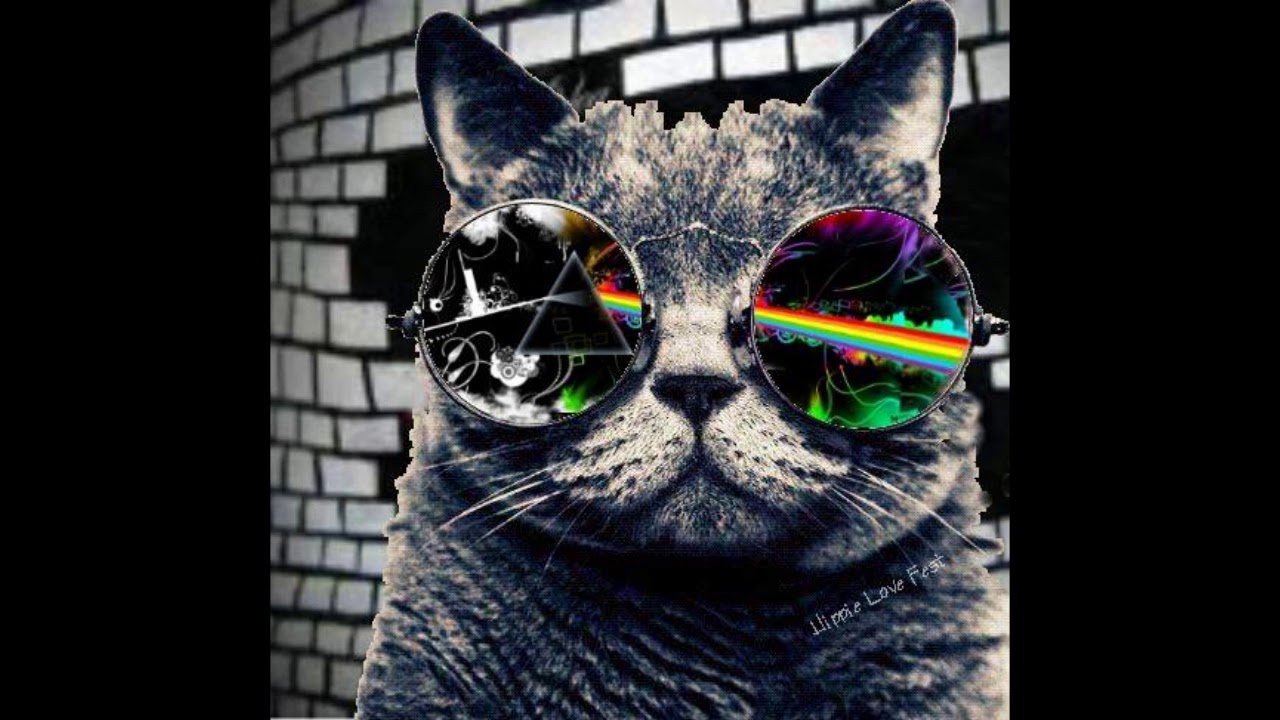 Wish You Were Here Backing Track Pink Floyd