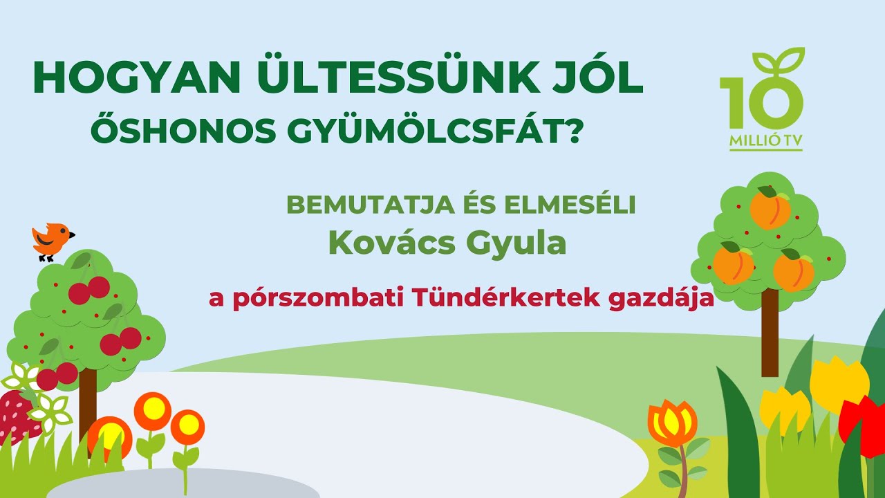 Hogyan ültessünk jól Kovács Gyula