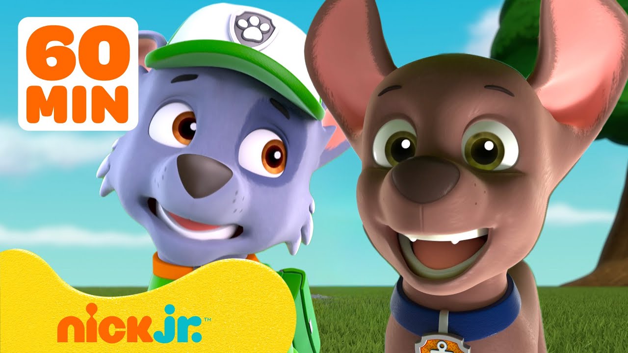 PAW Patrol | PAW Patrol en hun grote gevoelens! Met Rocky & Zuma | Nick Jr. Nederlands