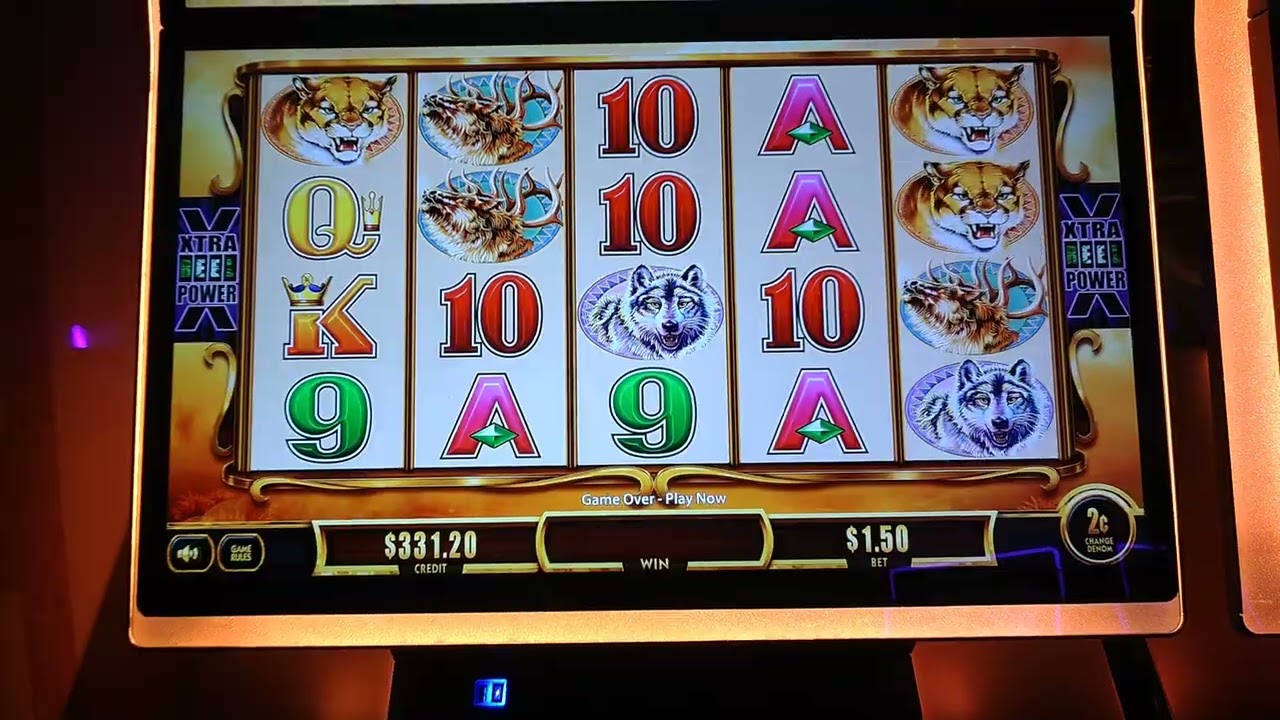 SEE WHAT HAPPENS WHEN YOU PLAY AT ENCORE BOSTON HARBOR on Buffalo Gold Revolution Slot Machine
