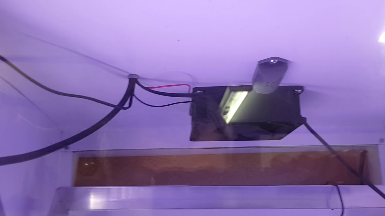 Lilytech ZL-7901A. ОЖИДАНИЕ И РЕАЛЬНОСТЬ