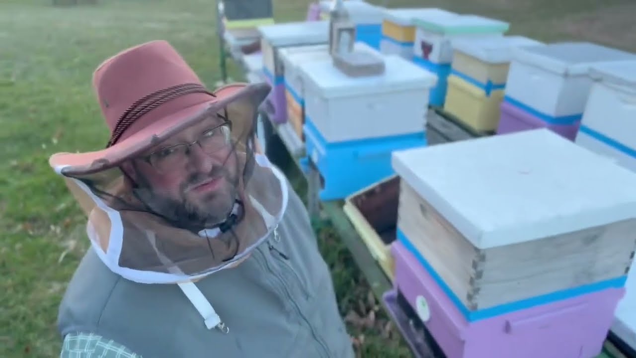 Late winter beekeeping | What&rsquo;s going on in Maryland
