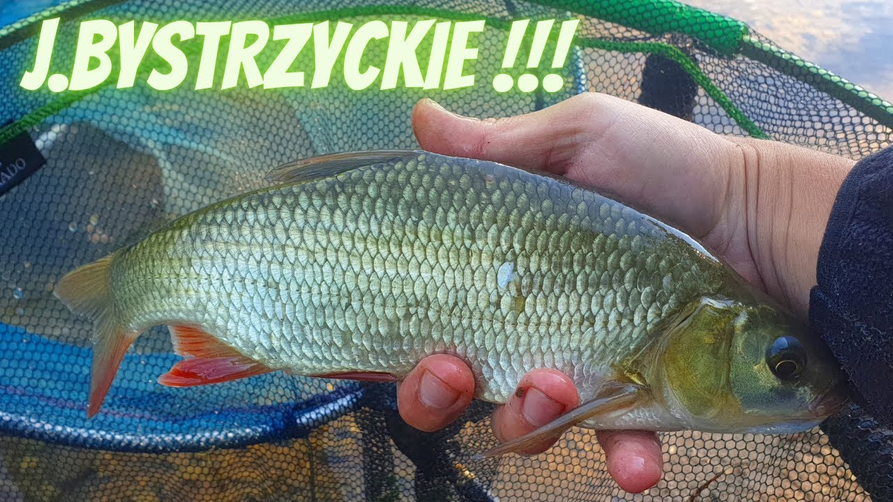 Wędkujemy Nad J.Bystrzyckim, Głęboki i Trudny Zbiornik