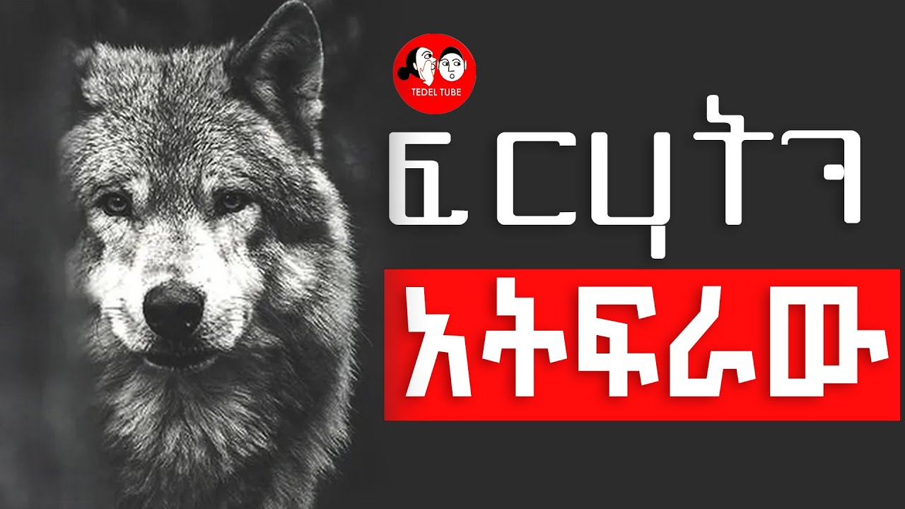 📚[👉ሙሉ መፅሐፍ] ፍርሃትህን አትፍራው Amharic audio books 🎧 📖