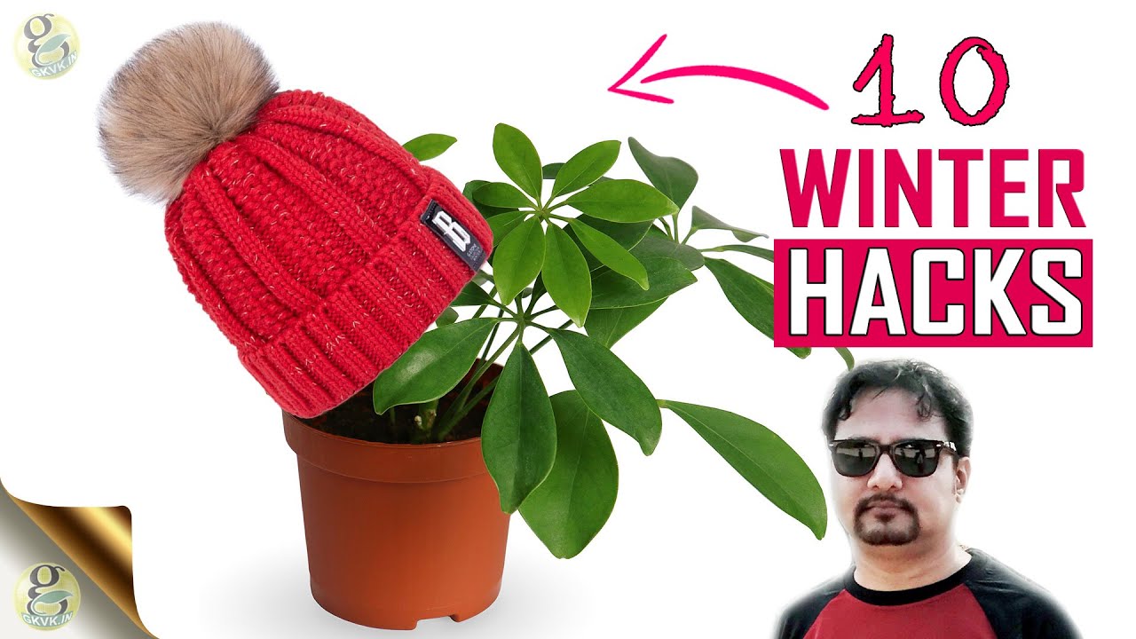10 SECRETS FOR GARDENING IN WINTER SEASON | Plant Lifesaver Tips