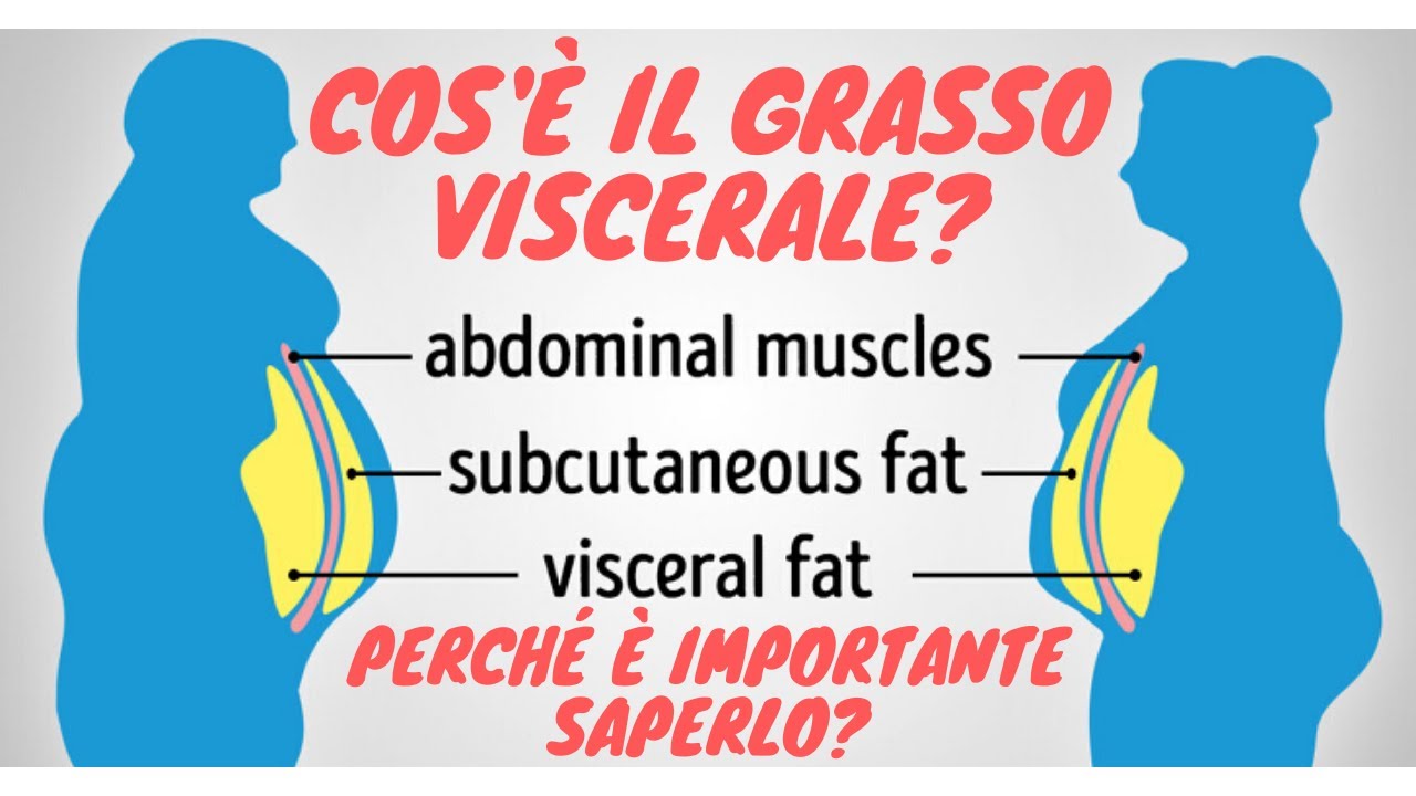 Cos'è il grasso viscerale? Perché è importante saperlo?