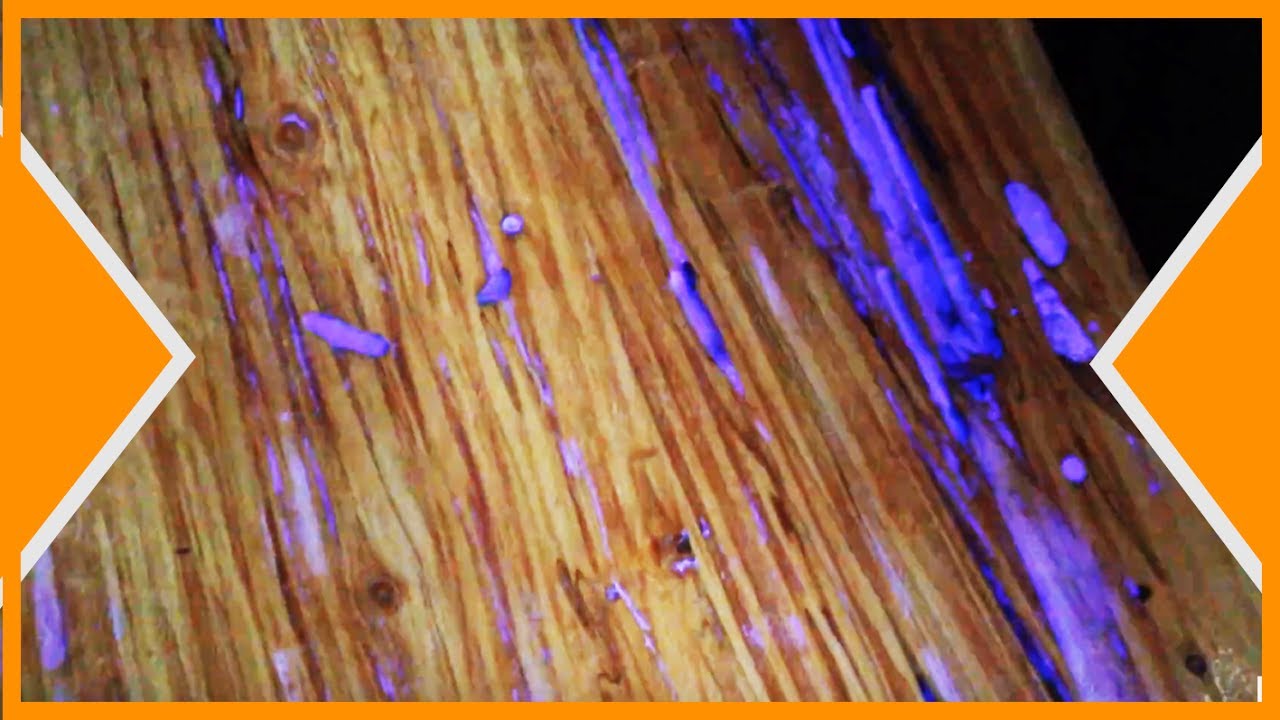 PIGMENTS PHOSPHORESCENTS  & Résine epoxy sur bois