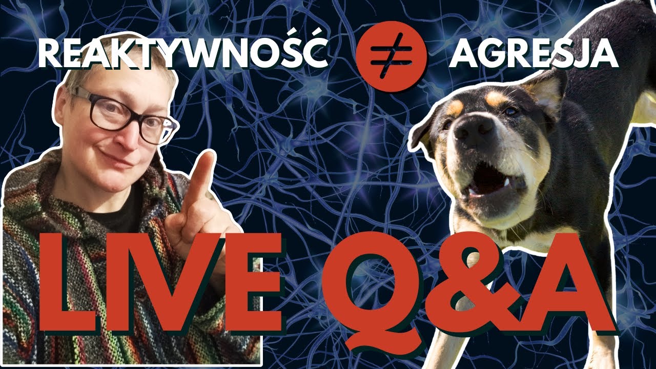 Reaktywność u psa – czym naprawdę jest i jak z nią pracować? [LIVE]
