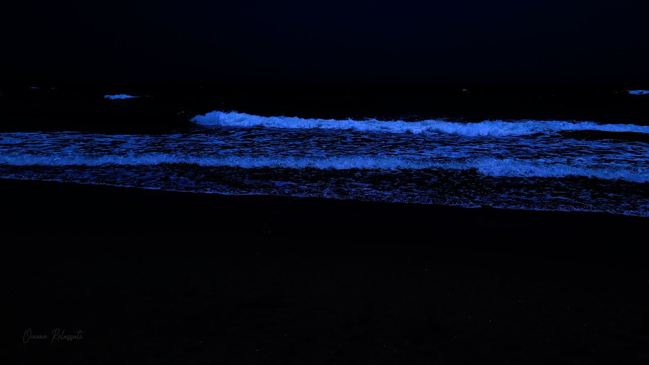 Entro 3 minuti dirai addio all'insonnia con i suoni dell'oceano e le grandi onde notturne