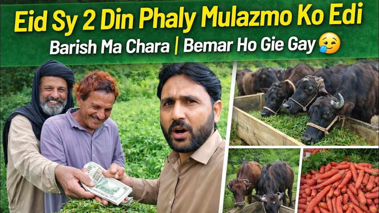 👉 Eid Sy 2 Din Phaly Mulazmo Ko Edi