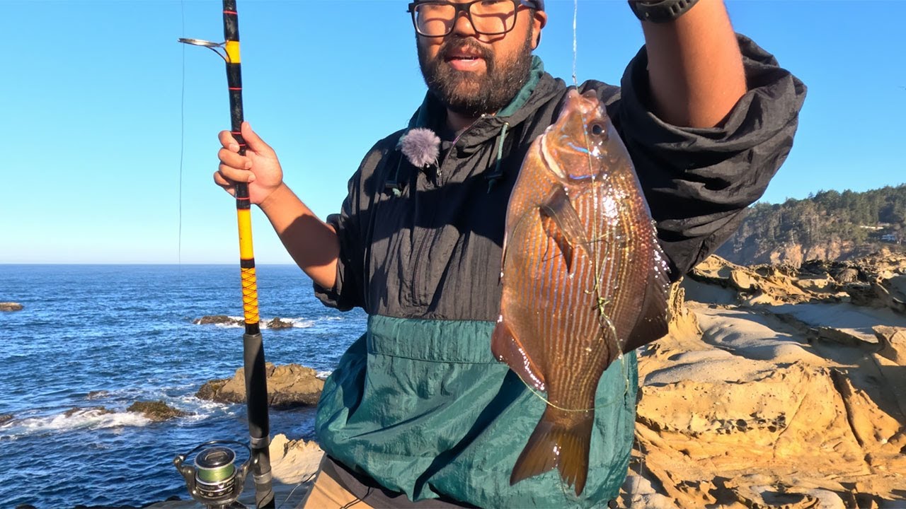 Catching Striped Perch Off a Big Cliff