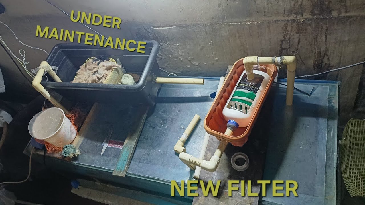 NEW FILTER FOR MONSTER TANK || DIY || 2ND FILTER NEEDED || #aquarium #diy #filter  #aquaticpets