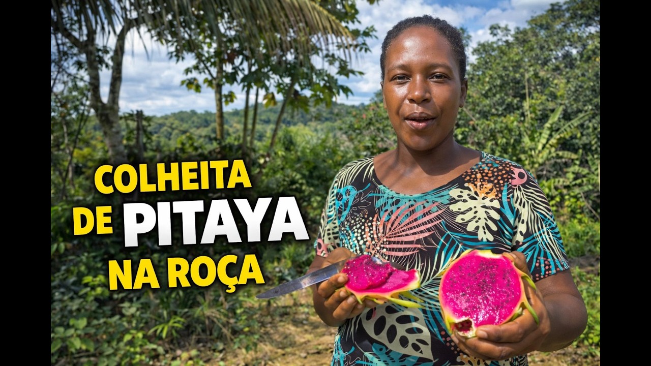 Hoje Foi Dia de Colher Pitaya na Roça — Olha Que Espetáculo da Natureza!