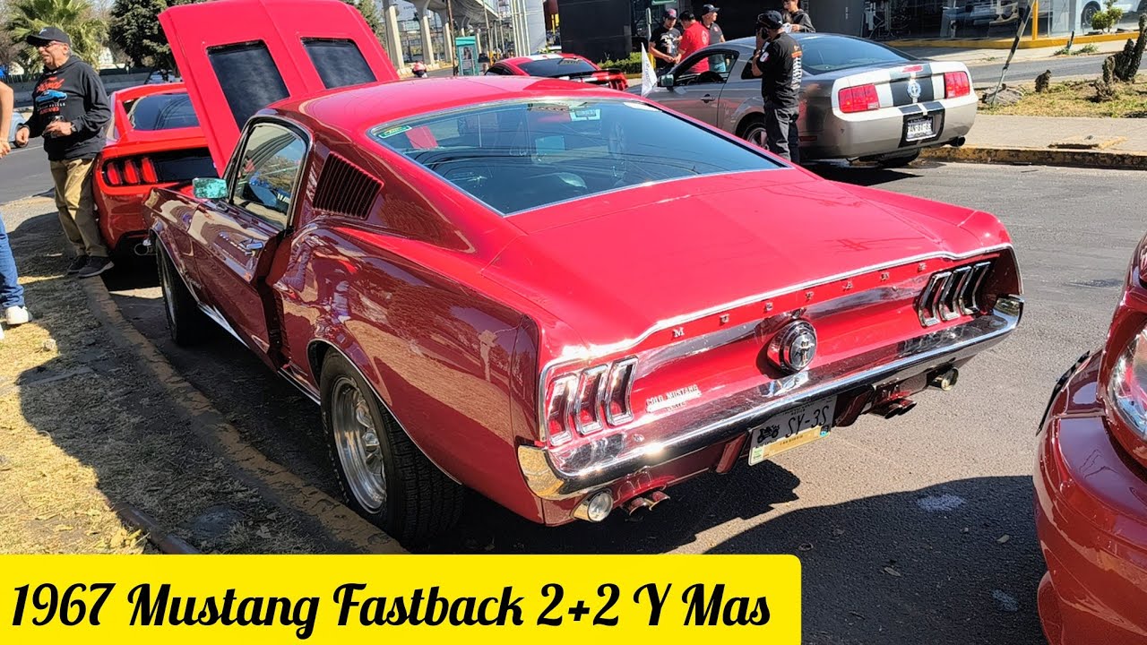 1967 Ford Mustang 2+2 Fastback, Una Auténtica Joya sobre Ruedas, Mustang de Varios años.