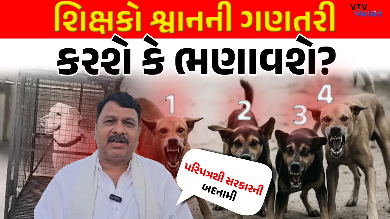 શિક્ષકો બાળકોને ભણાવશે કે શ્વાનની ગણતરી કરશે? વિવાદિત પરિપત્રથી શિક્ષકોમાં રોષ। VTV Panchayat