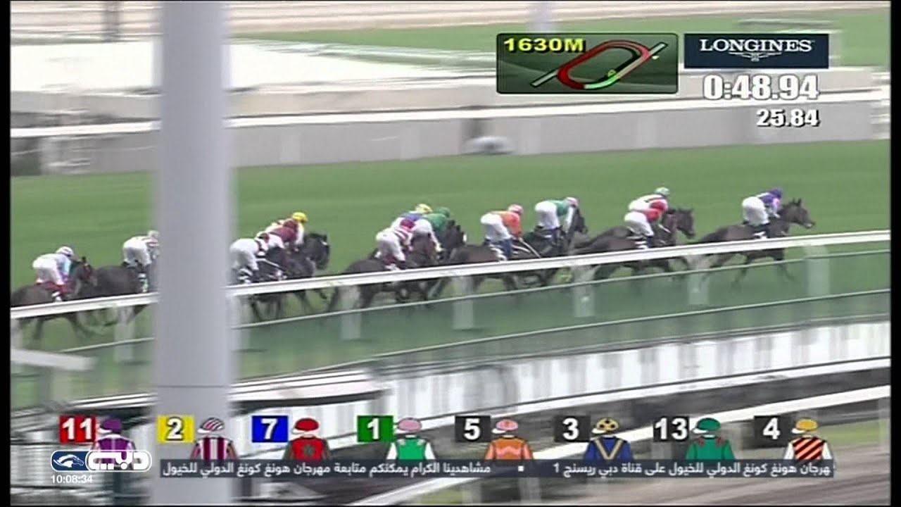Highland Reel - 2015 LONGINES Hong Kong Vase G1